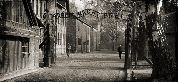 auschwitz tours